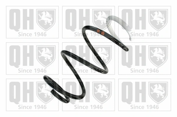 Suspension Spring (QCS9164)