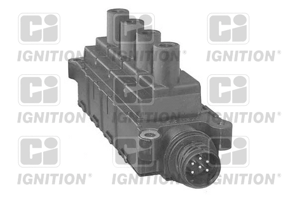 Ignition Coil (XIC8184)