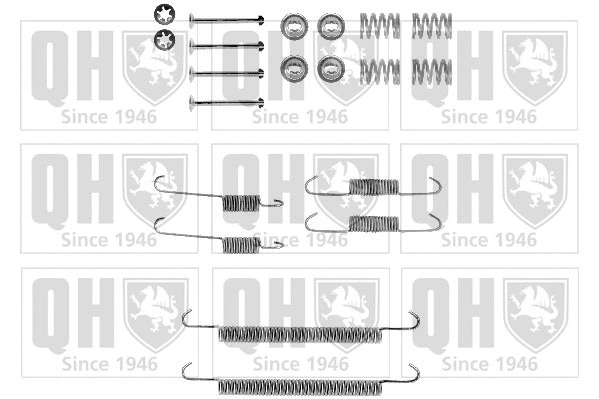 Accessory Kit, brake shoes (BFK289)