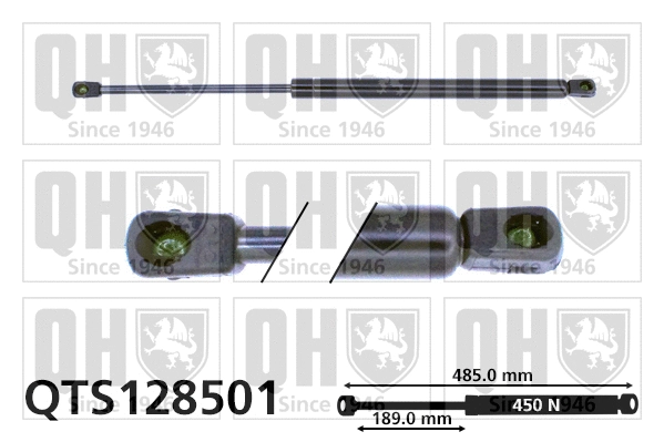 Gas Spring, boot/cargo area (QTS128501)