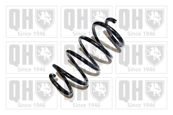 Suspension Spring (QCS7638)