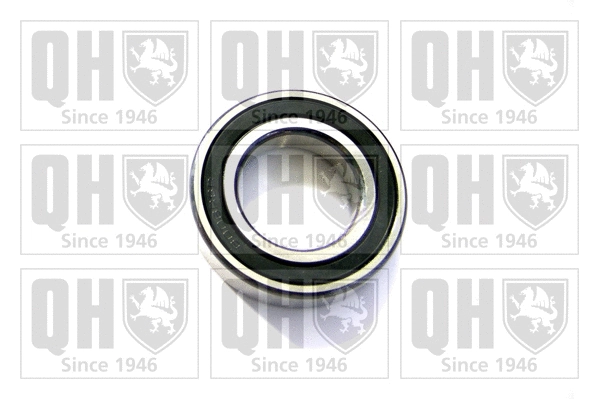 Bearing (XB9935)