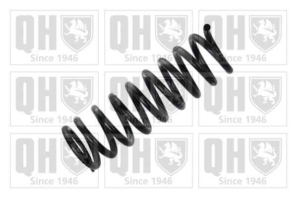 Suspension Spring (QCS8151)