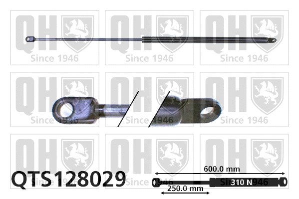 Gas Spring, boot/cargo area (QTS128029)