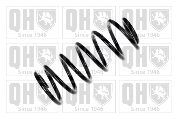 Suspension Spring (QCS5279)