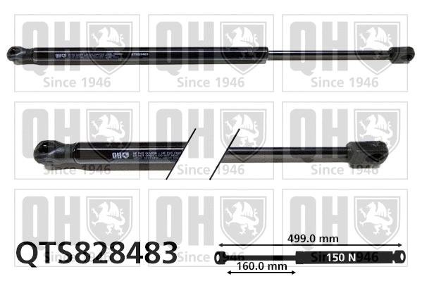Gas Spring, rear window (QTS828483)