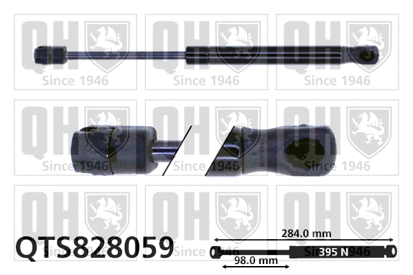 Gas Spring, boot/cargo area (QTS828059)