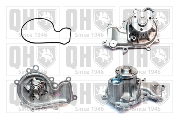 Water Pump, engine cooling (QCP3645)