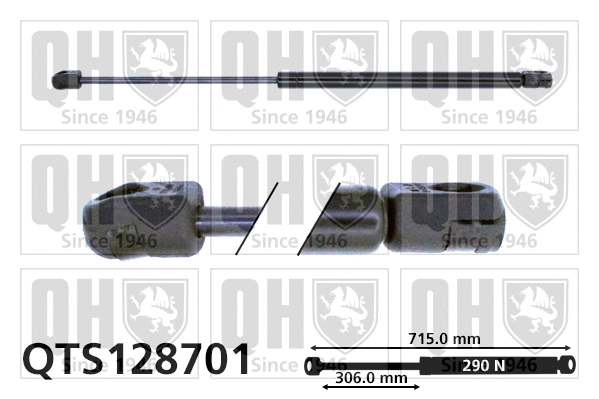 Gas Spring, bonnet (QTS128701)