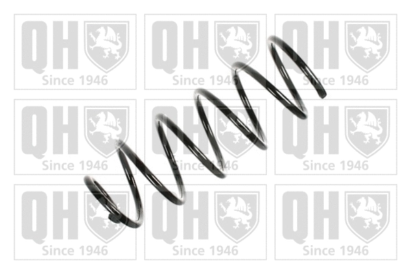 Suspension Spring (QCS6147)
