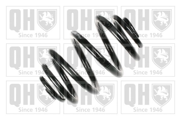 Suspension Spring (QCS7989)