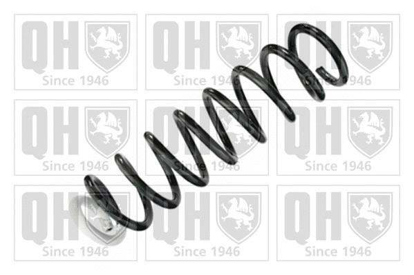 Suspension Spring (QCS6652)