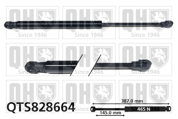 Gas Spring, boot/cargo area (QTS828664)