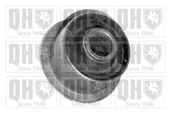 Mounting, control/trailing arm (EMS1936)