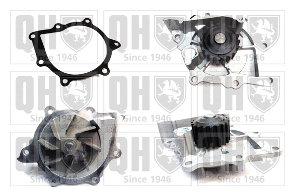 Water Pump, engine cooling (QCP3661)