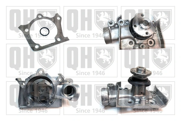 Water Pump, engine cooling (QCP2809)