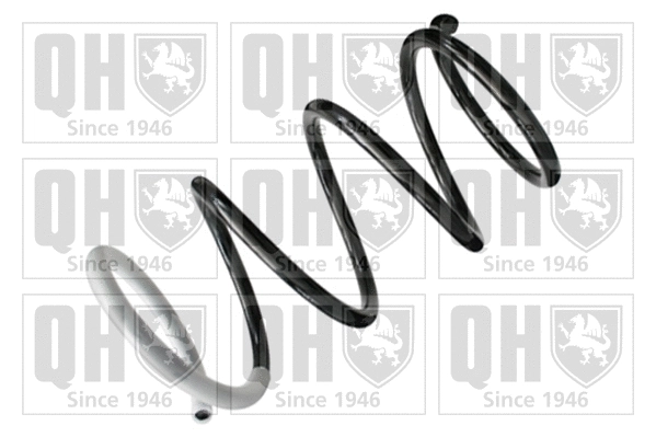 Suspension Spring (QCS7956)