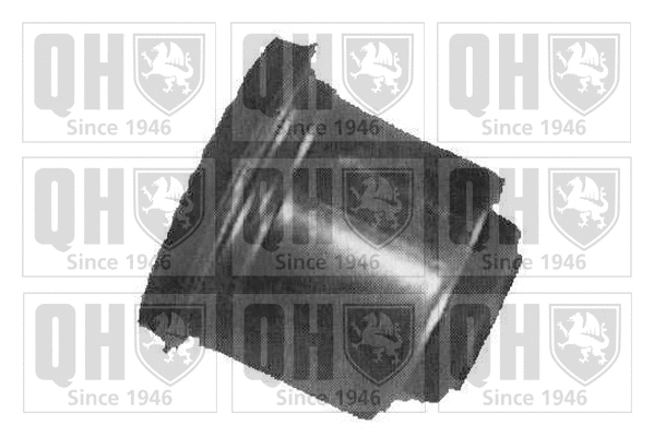Mounting, control/trailing arm (EMS2668)