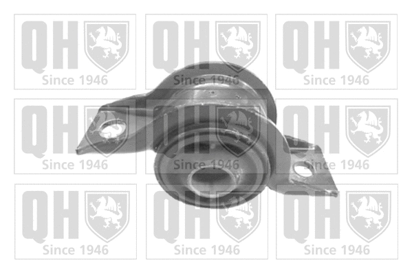 Mounting, control/trailing arm (EMS8253)