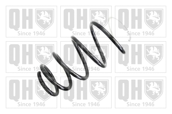 Suspension Spring (QCS5013)
