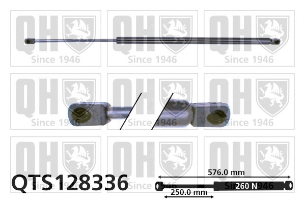 Gas Spring, boot/cargo area (QTS128336)