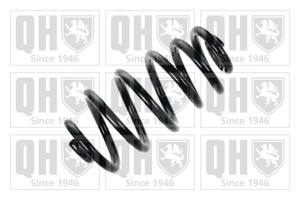 Suspension Spring (QCS5910)