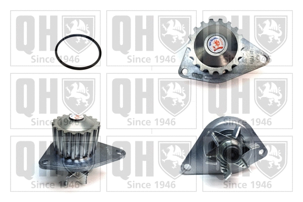 Water Pump, engine cooling (QCP3578)