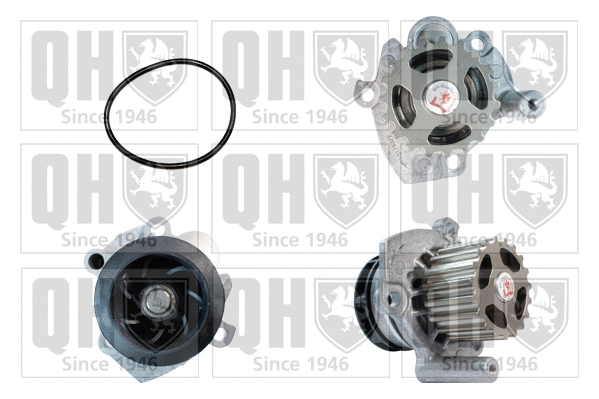 Water Pump, engine cooling (QCP3623)
