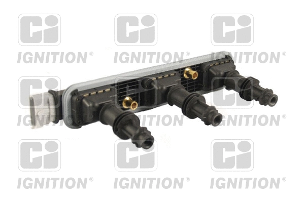 Ignition Coil (XIC8368)