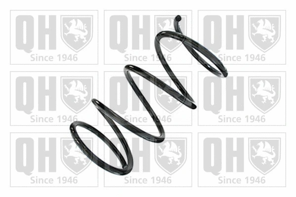 Suspension Spring (QCS8801)