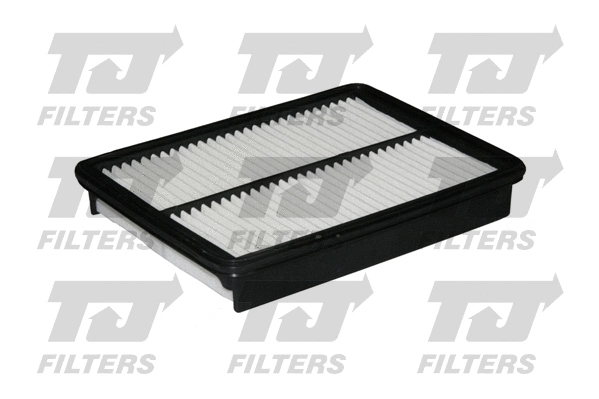 Air Filter (QFA0895)