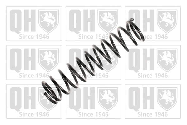 Suspension Spring (QCS5725)