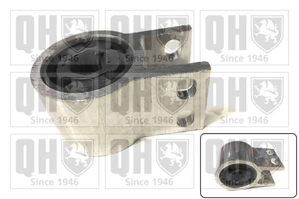 Mounting, control/trailing arm (EMS8696)