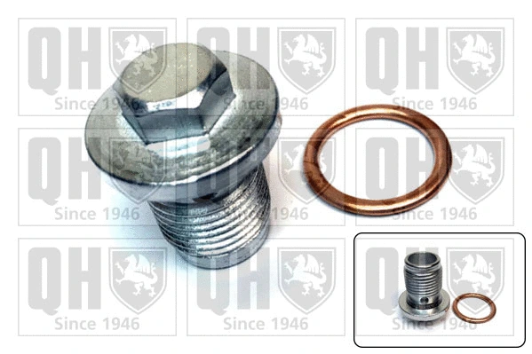Screw Plug, oil sump (QOC1015)