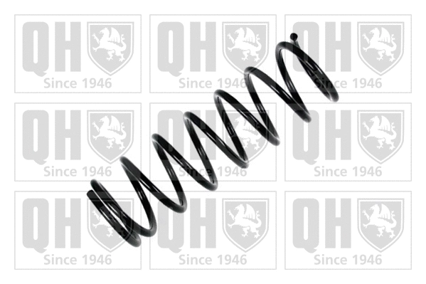 Suspension Spring (QCS6786)