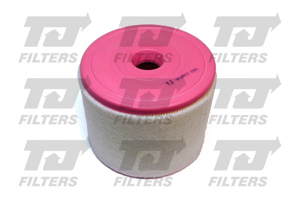 Air Filter (QFA0913)