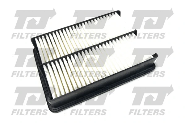 Air Filter (QFA1012)