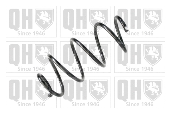 Suspension Spring (QCS6724)