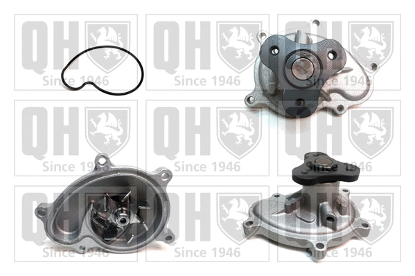 Water Pump, engine cooling (QCP3882)