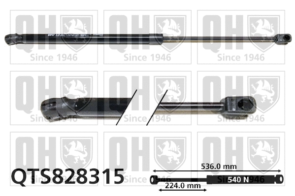 Gas Spring, boot/cargo area (QTS828315)