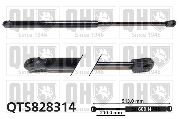 Gas Spring, boot/cargo area (QTS828314)