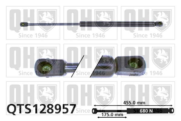 Gas Spring, boot/cargo area (QTS128957)