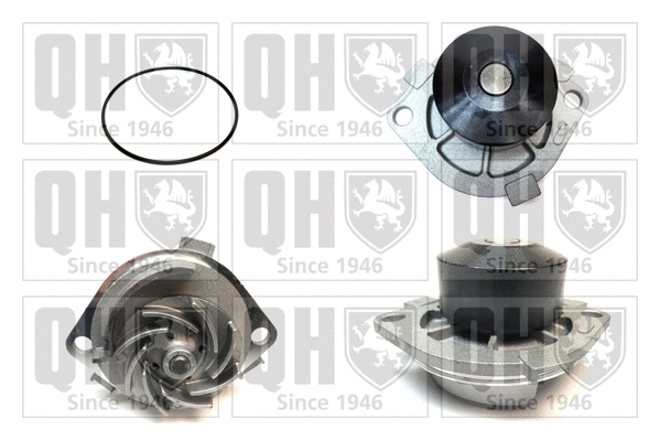 Water Pump, engine cooling (QCP3218)