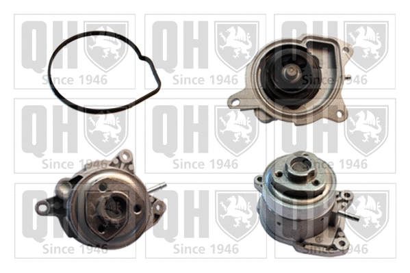 Water Pump, engine cooling (QCP3721)