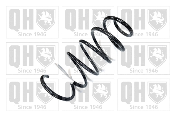 Suspension Spring (QCS8219)