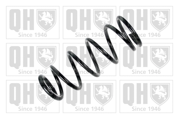 Suspension Spring (QCS5037)