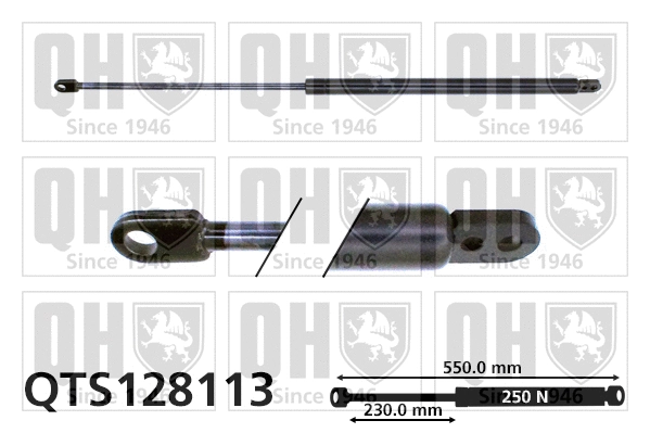 Gas Spring, boot/cargo area (QTS128113)