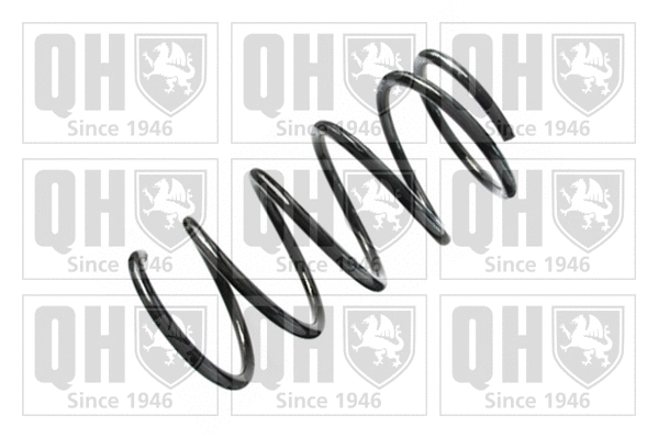 Suspension Spring (QCS6682)