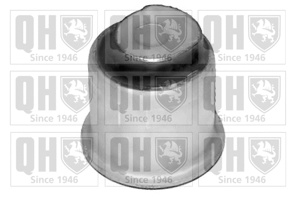 Mounting, control/trailing arm (EMS8226)