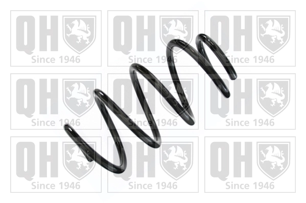 Suspension Spring (QCS8341)